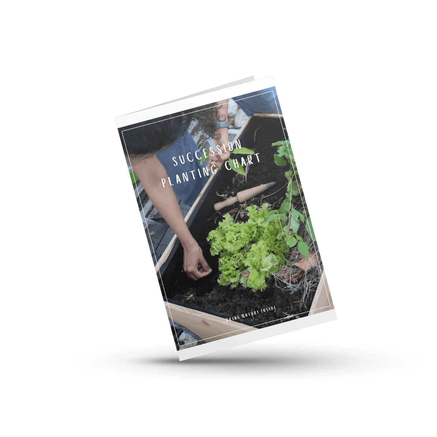 Succession Planting Chart